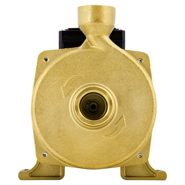 Commercial Heavy-duty pump - Image 7